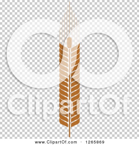 Transparent clip art background preview #COLLC1265869