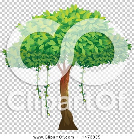 Clipart of a Tree - Royalty Free Vector Illustration by Graphics RF
