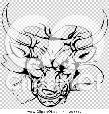 Clipart of a Vicious Snarling Aggressive Black and White Bull Breaking