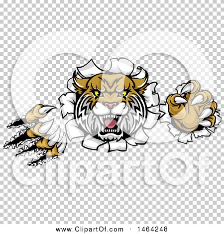 Transparent clip art background preview #COLLC1464248