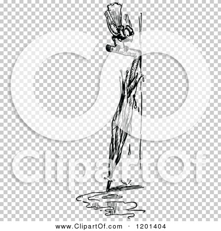 Transparent clip art background preview #COLLC1201404