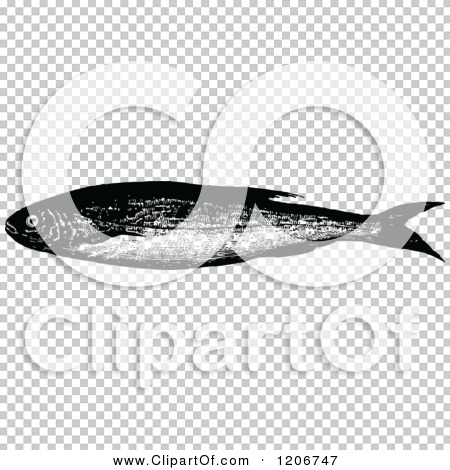 Transparent clip art background preview #COLLC1206747