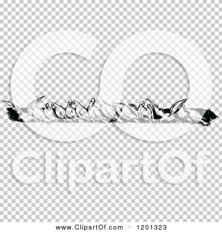Transparent clip art background preview #COLLC1201323