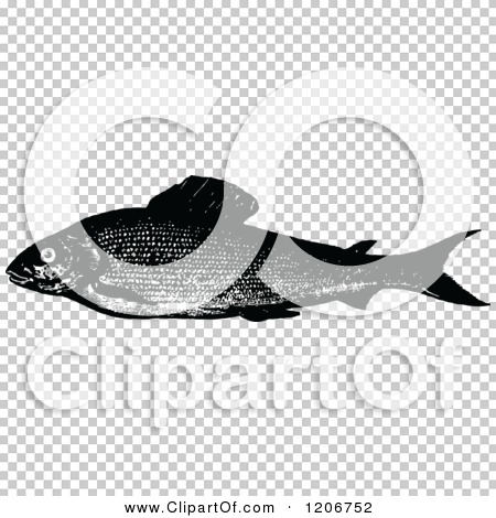 Transparent clip art background preview #COLLC1206752