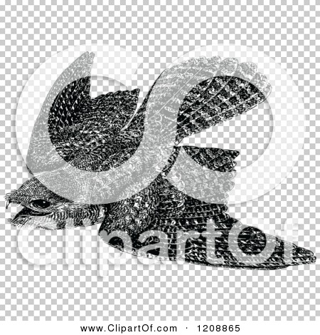 Transparent clip art background preview #COLLC1208865