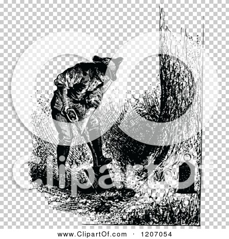 Transparent clip art background preview #COLLC1207054