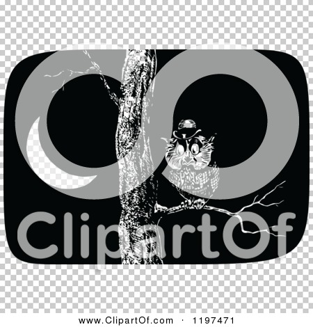 Transparent clip art background preview #COLLC1197471
