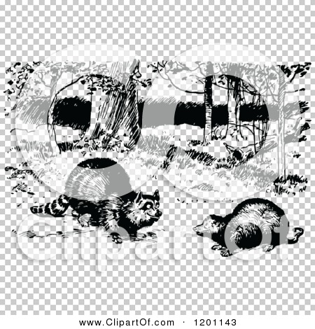 Transparent clip art background preview #COLLC1201143