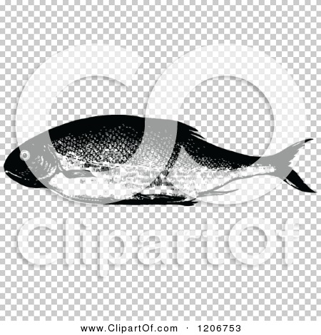 Transparent clip art background preview #COLLC1206753