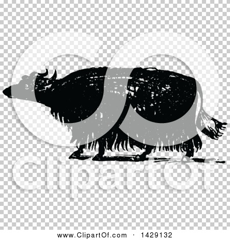 Transparent clip art background preview #COLLC1429132