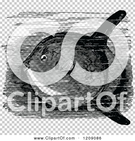 Transparent clip art background preview #COLLC1209086