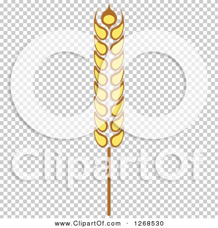 Clipart of a Wheat Stalk 10 - Royalty Free Vector Illustration by