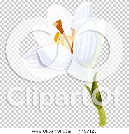 Transparent clip art background preview #COLLC1457120