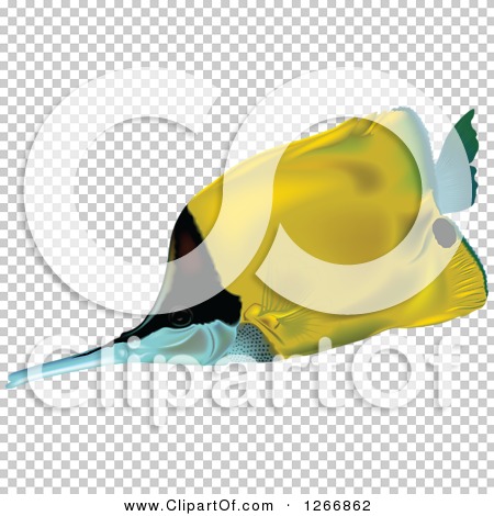 Transparent clip art background preview #COLLC1266862
