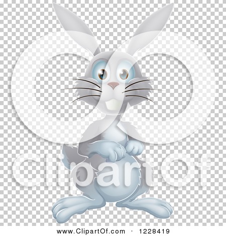 Transparent clip art background preview #COLLC1228419