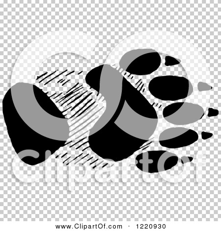 Transparent clip art background preview #COLLC1220930