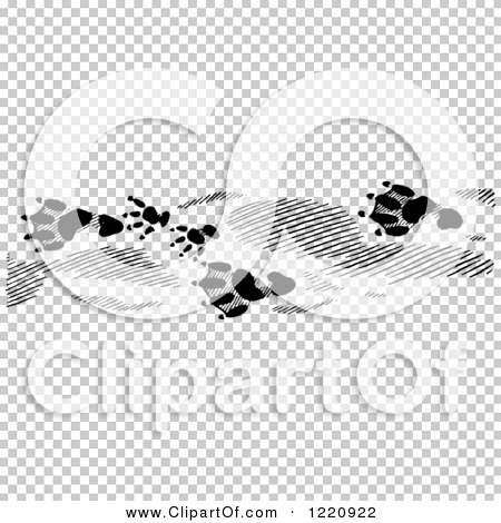 Transparent clip art background preview #COLLC1220922