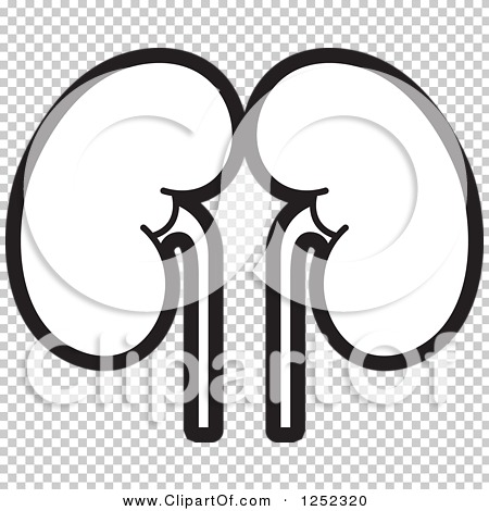 Clipart of Black and White Kidneys - Royalty Free Vector Illustration