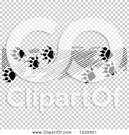 Transparent clip art background preview #COLLC1220921