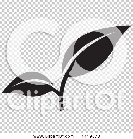 Transparent clip art background preview #COLLC1419678