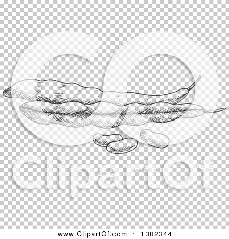 Transparent clip art background preview #COLLC1382344