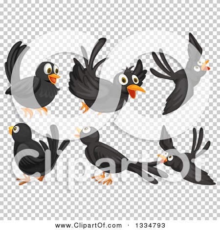 Clipart of Black Birds - Royalty Free Vector Illustration by Graphics