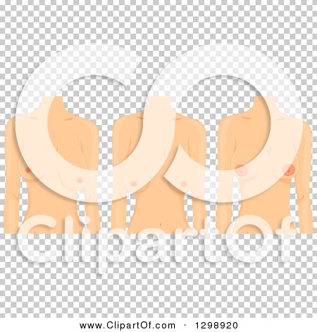 Transparent clip art background preview #COLLC1298920