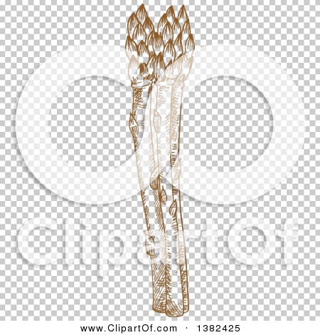 Transparent clip art background preview #COLLC1382425