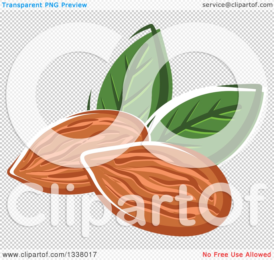 Clipart of Cartoon Almonds with Leaves - Royalty Free Vector