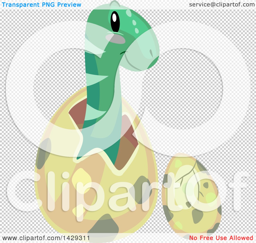 Free Vector  Pterosaur hatching from egg