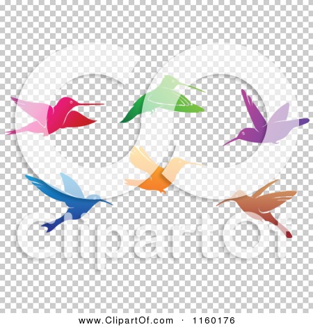 Transparent clip art background preview #COLLC1160176