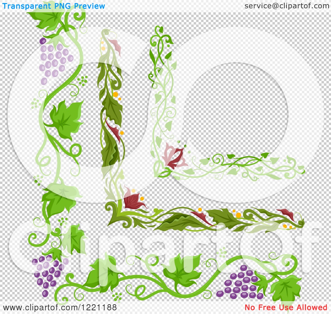 green grape vine border