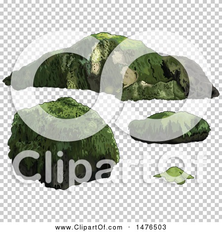 Transparent clip art background preview #COLLC1476503