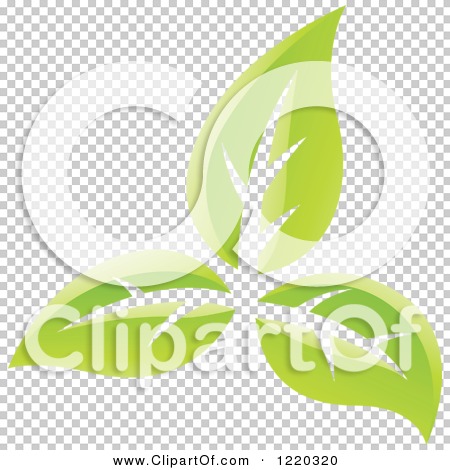 Transparent clip art background preview #COLLC1220320