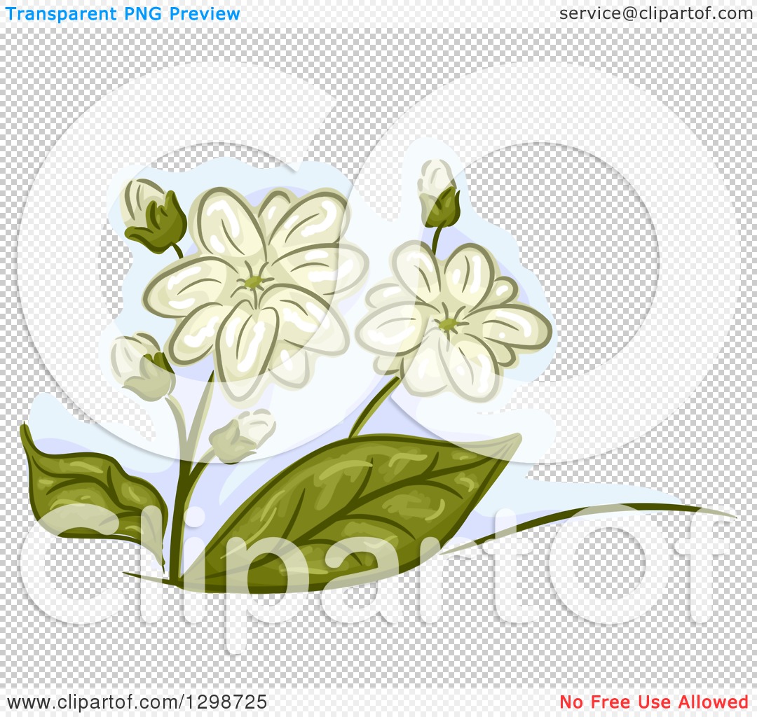 Download Jasmine Flower SVG Designs For Your Craft Projects | flowersvg.shop