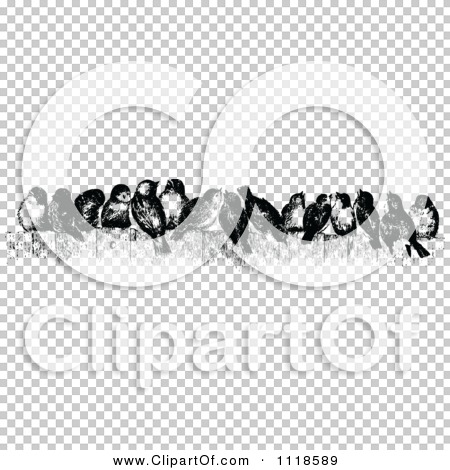Transparent clip art background preview #COLLC1118589