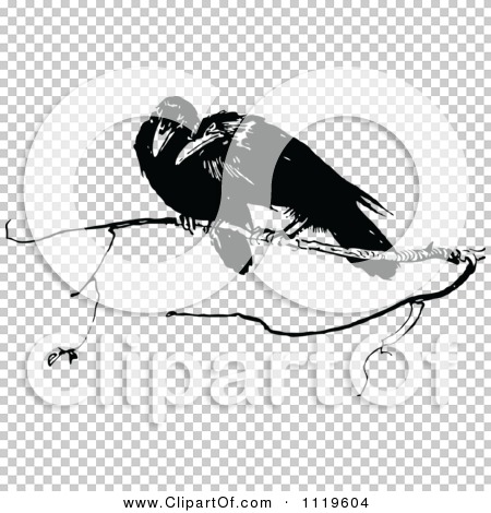 Transparent clip art background preview #COLLC1119604