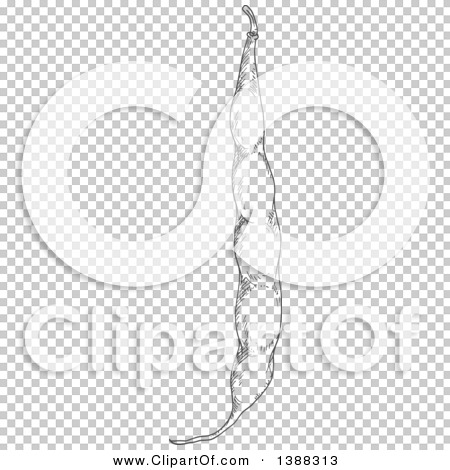 Transparent clip art background preview #COLLC1388313