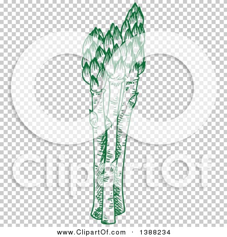 Transparent clip art background preview #COLLC1388234