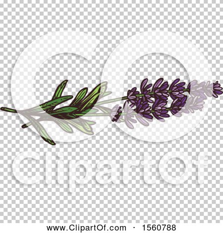 Transparent clip art background preview #COLLC1560788