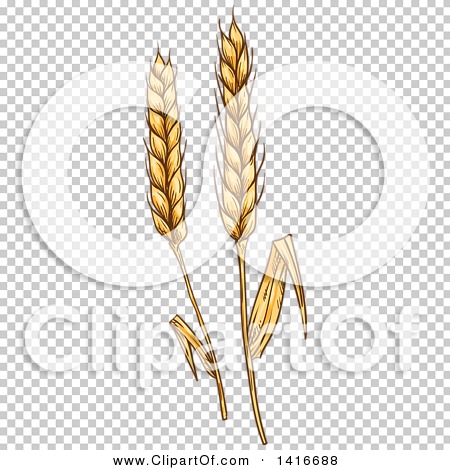 Transparent clip art background preview #COLLC1416688