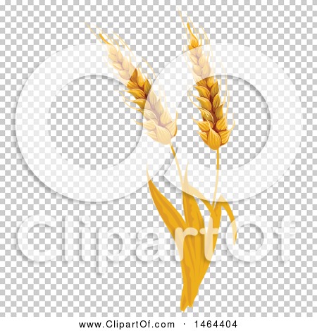 Transparent clip art background preview #COLLC1464404