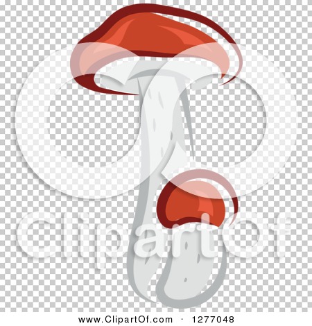 Transparent clip art background preview #COLLC1277048