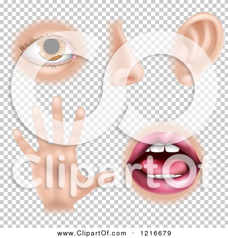 Transparent clip art background preview #COLLC1216679