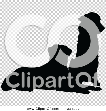 Transparent clip art background preview #COLLC1334227