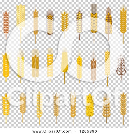 Clipart of Wheat and Grains - Royalty Free Vector Illustration by