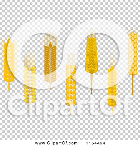 Transparent clip art background preview #COLLC1154494