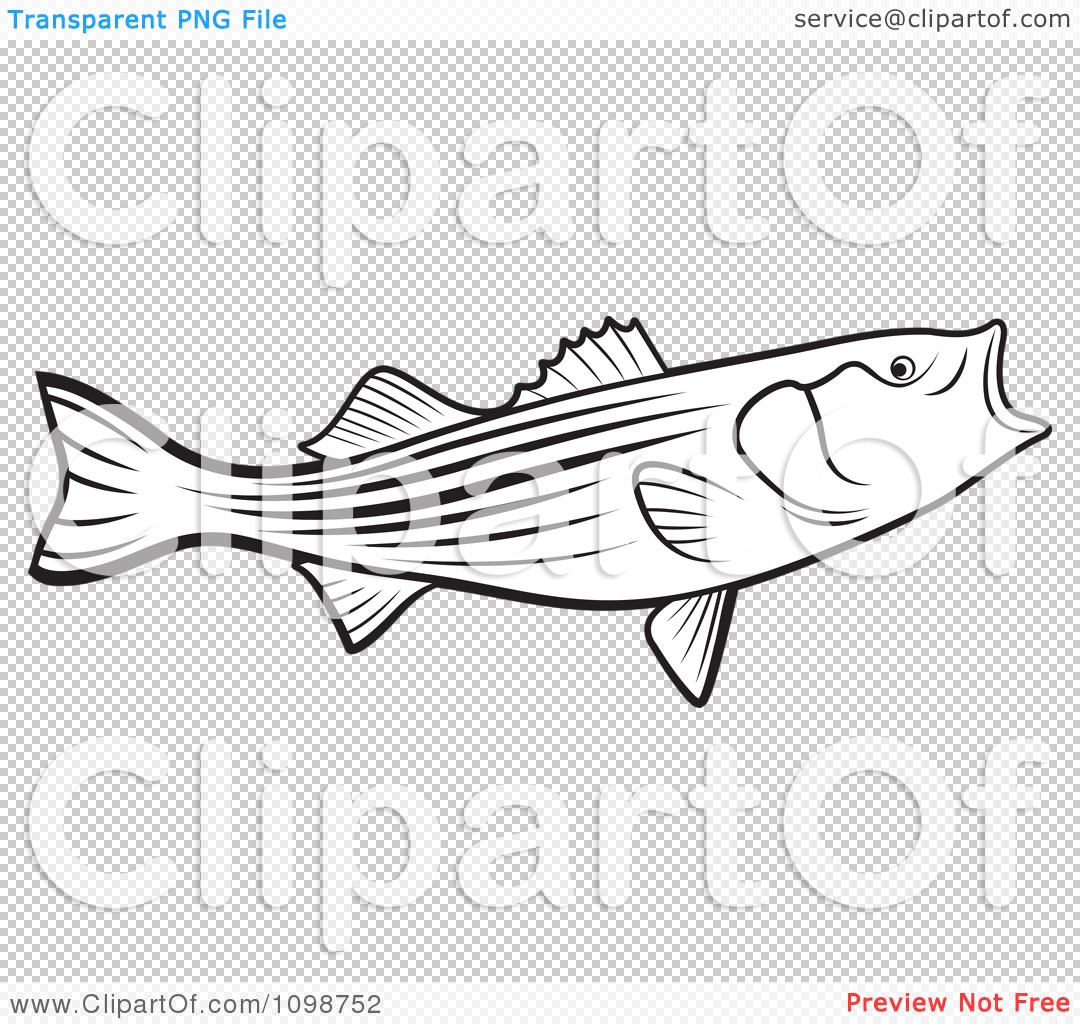 Clipart Outlined Bass Fish With An Open Mouth - Royalty Free