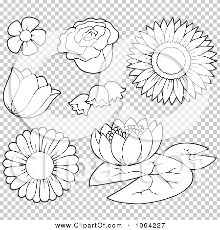 Clipart Outlined Flowers - Royalty Free Vector Illustration by visekart