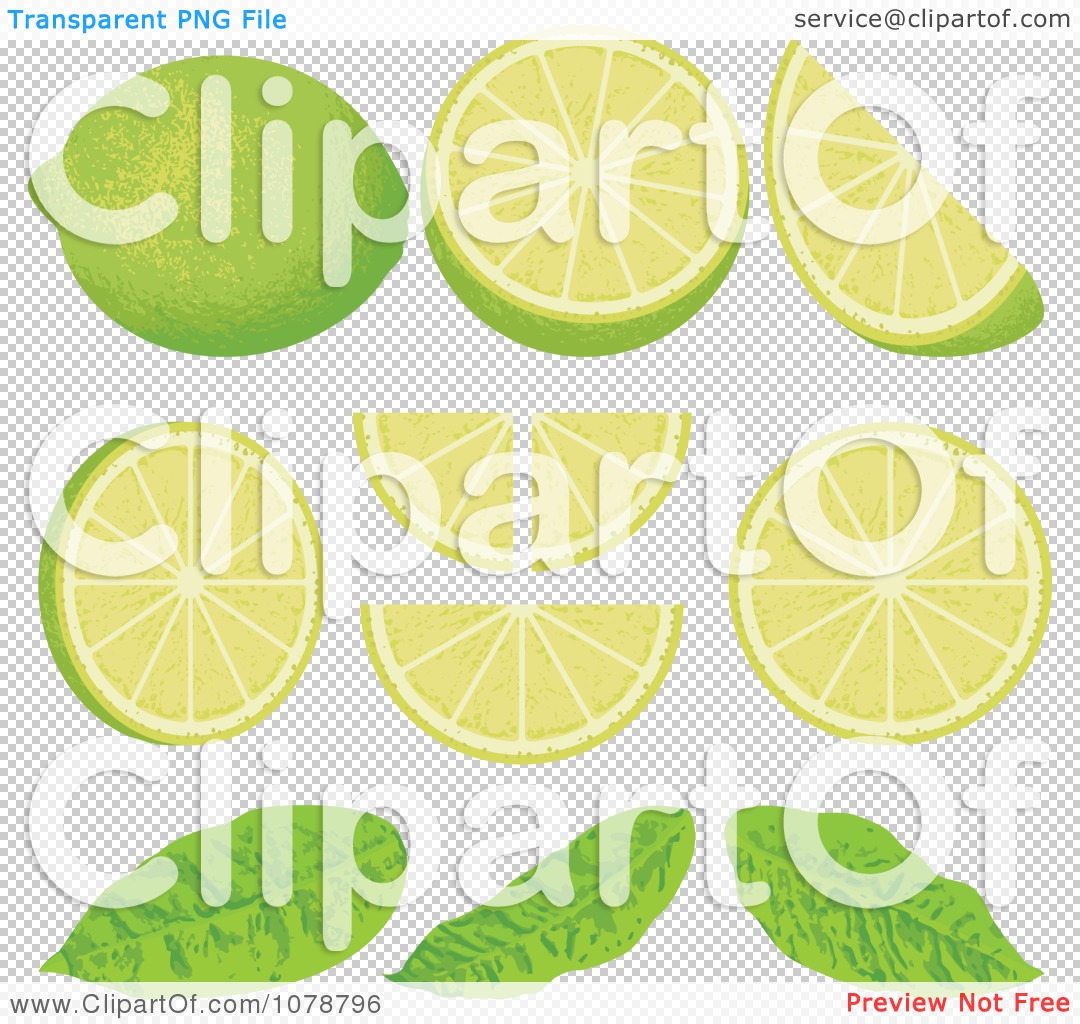 Clipart Pieces Of Lime Wedges With Leaves - Royalty Free Vector